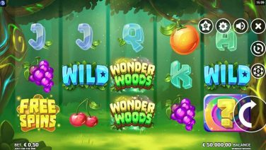 Wonder Woods (1)