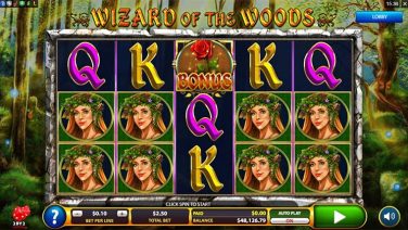 Wizard of the Woods (1)