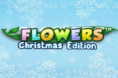 Flowers Christmas Edition