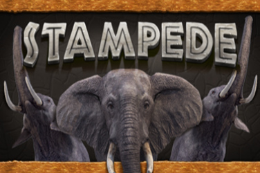 Stampede