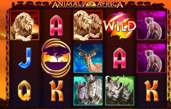 Animals-of-Africa-Theme-and-Design