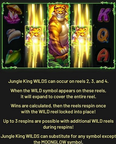 Jungle Stripes JUNGLE KING WILDS