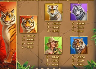 Tiger Tiger symbols