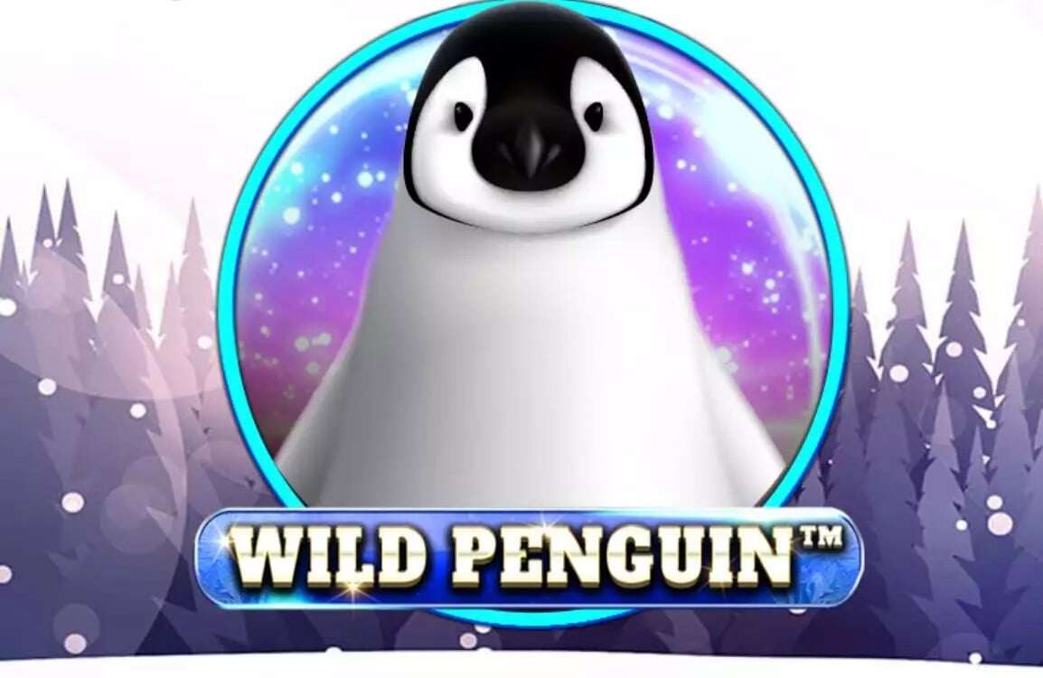 Wild Penguin