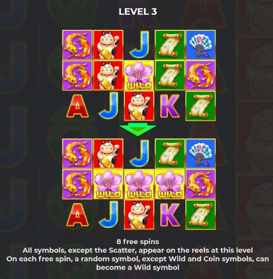 Japanese Coin Hold the Spin Free Spins Level 3