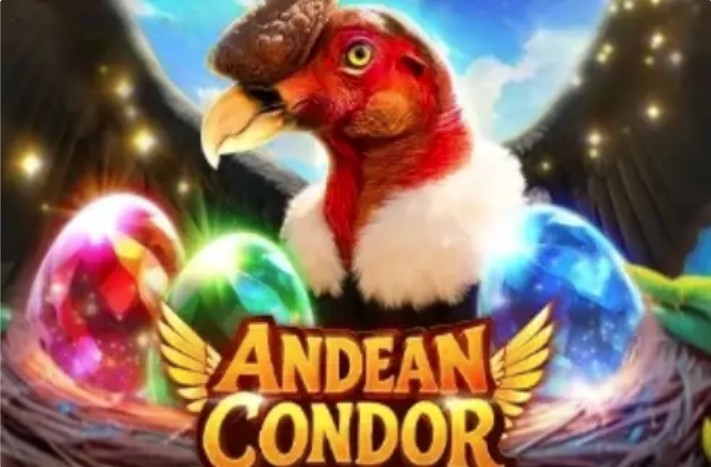 Andean Condor