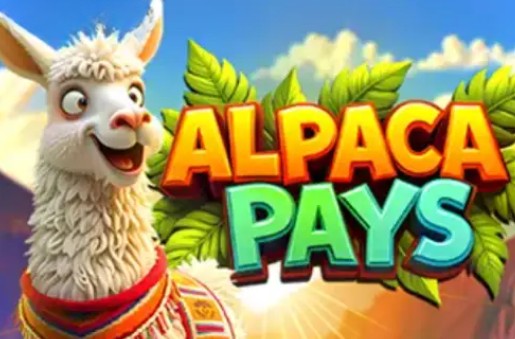 Alpaca Pays