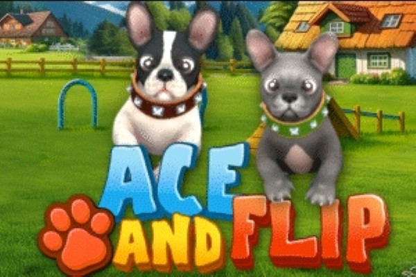 Ace and Flip