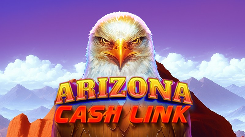 Arizona Cash Link